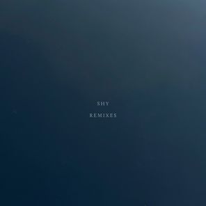 Loveclub, Domingo + – Shy Remixes