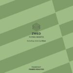 Elsoo, Zwed – Flying Mantis
