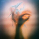 Pushmann, Flug – Various Artists 001