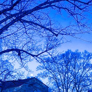 Elia Sonder – Where Her Shadow Stays