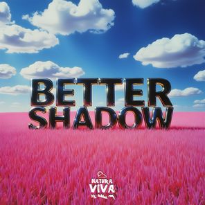 Gate13 – Better Shadow