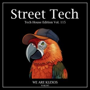Ricardo Motta, Lessum – Street Tech, Vol. 115