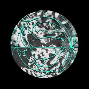 TineX, Beau Didier – Seven Beers