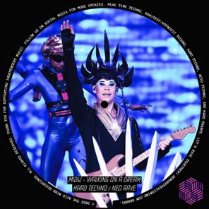 MiDiJ – Walking on a Dream