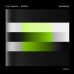 Luigi Madonna – Duality EP