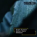 Night Breeze – Desert Rain
