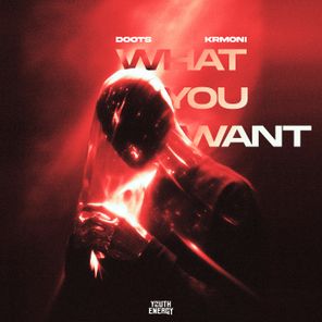 Krmoni, DOOTS – What You Want