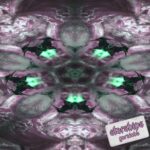 Yari – STARSHiPS