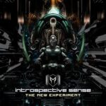 Introspective Sense – The New Experiment