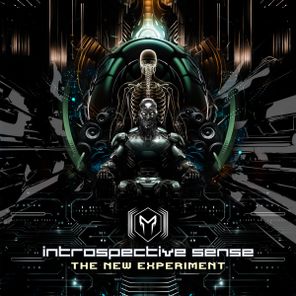 Introspective Sense – The New Experiment