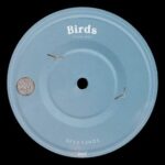 NeeKairos – Birds (Flying High)