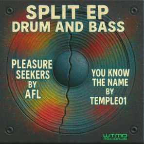 AFL, Temple01 – SPLIT EP VOL 3