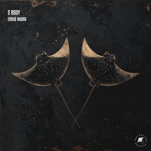 Errio Indra – 5 Body