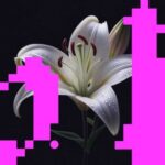 785767b6 756f 41f5 8007 d408af8057cf