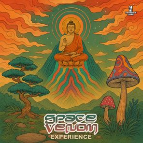 Space Venom – Experience