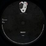 NAAiV – Lose Control