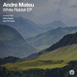 Andre Mateu – White Rabbit
