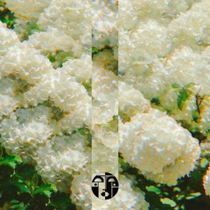 Alexis Cabrera – Ghosts From Another Universe