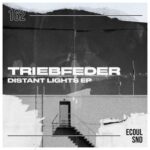 Triebfeder – Distant Lights