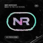 Dan Harrison – Back To The Old School