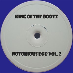 Unknown Artist – Notorious D&B Vol. 2