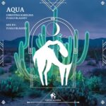 Ivailo Blagoev, Cafe De Anatolia – Aqua (Ivailo Blagoev Mix)