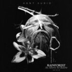Rainforest – As Above So Below