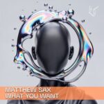Matthew Sax – What You Want