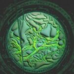 Mitra – Vivarium