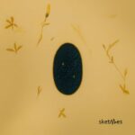 Greg Ochman – Aurafunk / Emovere