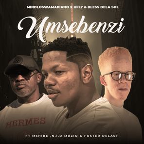HFLY, Bless Dela Sol – Umsebenzi
