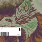 FiNE - Malori 3 FiNE – Malori