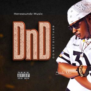Smile Mic – DnD (Do Not Disturb)