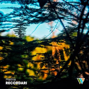 Meline – Recordari
