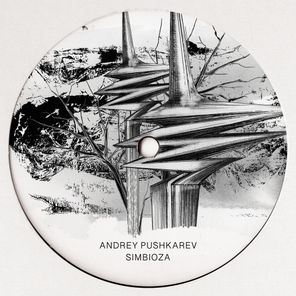 Mihai Popoviciu, Andrey Pushkarev – Simbioza