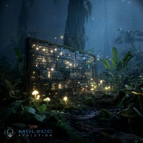 Molecc – Evolution