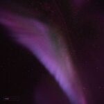 Coastlines – Falling Stars