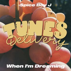Spice Boy J – When I’m Dreaming