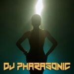 DJ Pharasonic – It’s Not Right but It’s Okay