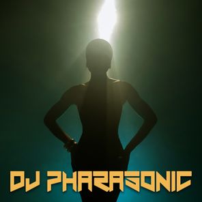 DJ Pharasonic – It’s Not Right but It’s Okay