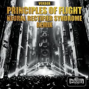 NRS, Principles Of Flight – Voxbox