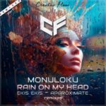 Monuloku, Approximate – Rain on My Head (Remixed, Pt. 2)