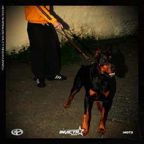 ozone, Megan Linnell – Next2 / Waiting On You (Extended Mix)