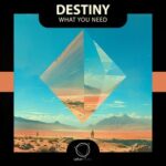 Destiny – What You Need