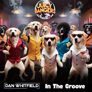 Dan Whitfield – In the Groove