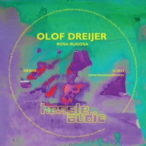 Olof Dreijer – Rosa Rugosa