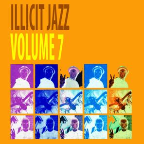 Nu Ground Foundation, Illicit Jazz – Volume 7
