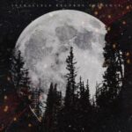 Updated, Vova Malevich – Moonlight