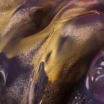 FTFL – Sine Collapse
