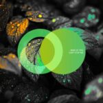 Mind Of Two – Can’t Stop Me